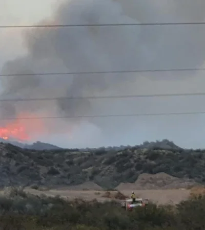 d3750847-09c9-4d8e-924c-a988190a1fda-jpg.