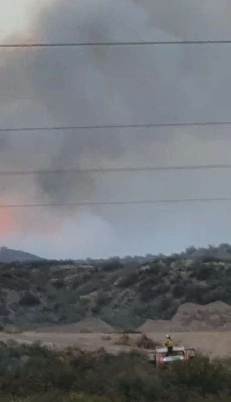 d3750847-09c9-4d8e-924c-a988190a1fda-jpg.