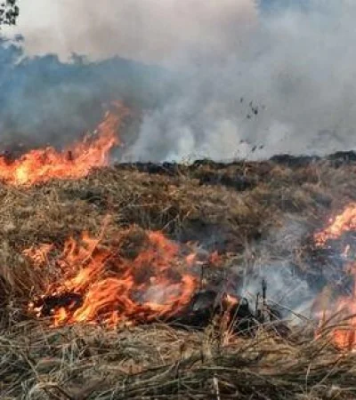 seguridad-concientiza-a-la-poblacion-para-prevenir-incendios-forestales-i-jpg.