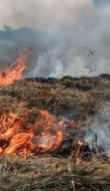 seguridad-concientiza-a-la-poblacion-para-prevenir-incendios-forestales-i-jpg.