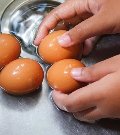 cascara-de-huevo-2-jpg.