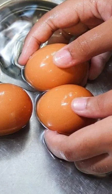 cascara-de-huevo-2-jpg.