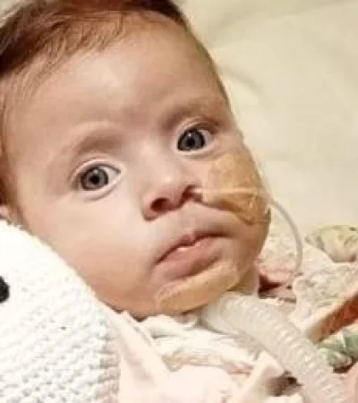 a01b7d52-8bb5-4aa1-9c3b-0d0a1bd8538b-png.