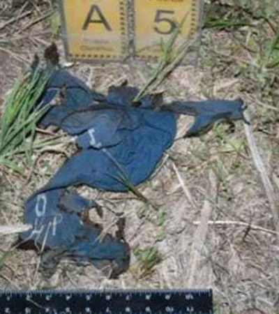 merlo-joven-muerto-descampado-2-jpg.