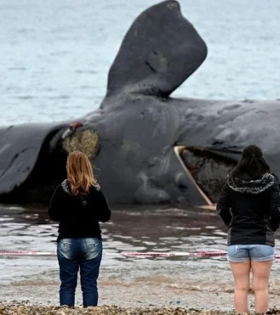 633f389834091-900-jpg.