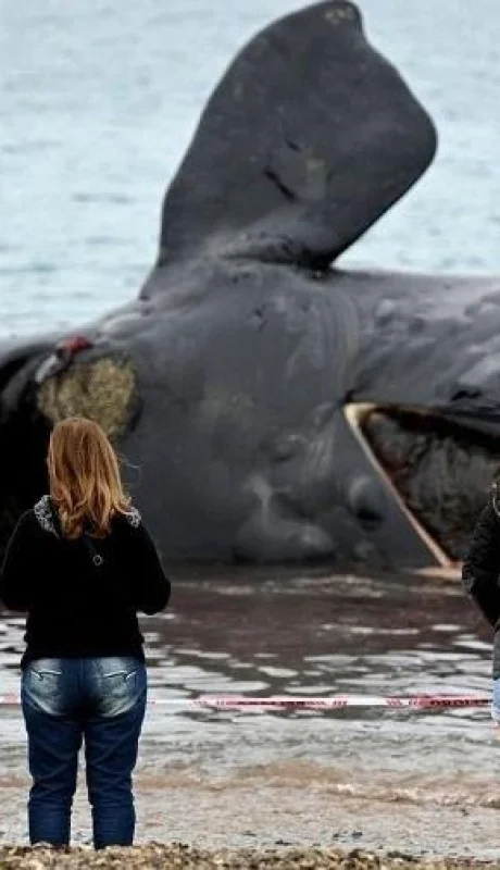 633f389834091-900-jpg.