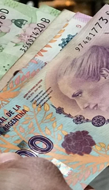 amas-de-casa-bono-anses-jpg.