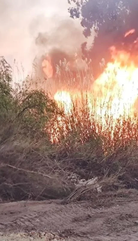 whatsapp-image-2022-10-05-at-07-57-46-2-jpeg.