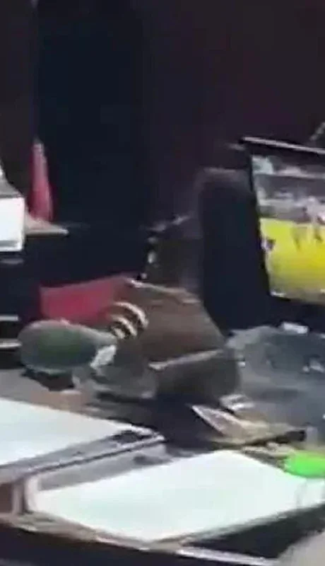 marcelo-casaretto-jpg.