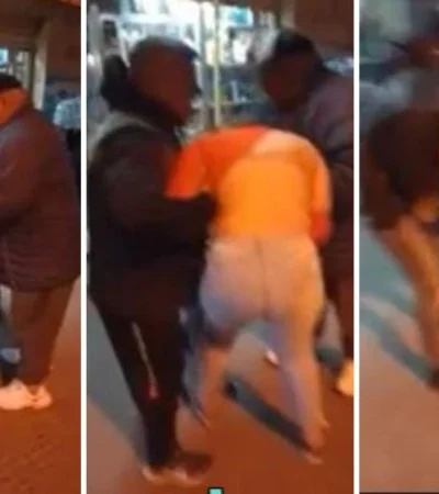 diseno-sin-titulo---2022-10-21t125519-081-png.