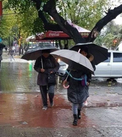 60304ab8-d7c8-49c9-b19a-a0fa3919e9b5-jpeg.