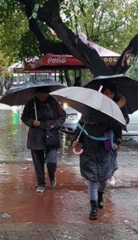 60304ab8-d7c8-49c9-b19a-a0fa3919e9b5-jpeg.