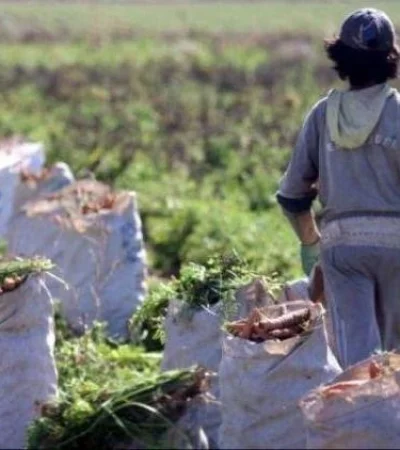 crecio-el-empleo-en-negro-y-el-trabajo-infantil-jpg.