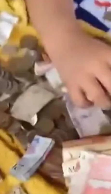 ed0e0412-c925-40d2-a460-2069a3d9acfa-jpg.