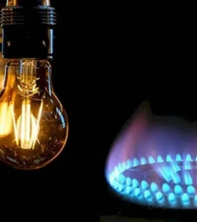 Subsidios a los servicios de luz y gas.