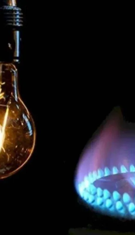 Subsidios a los servicios de luz y gas.