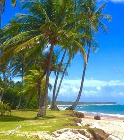 playa-de-brasil-jpg.