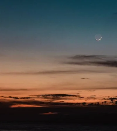 pexels-ludvig-hedenborg-3462436-jpg.