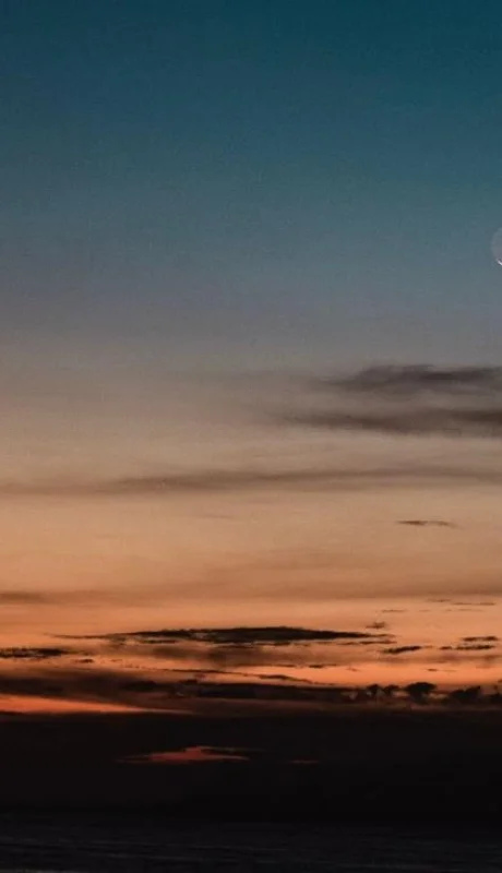 pexels-ludvig-hedenborg-3462436-jpg.