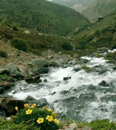 3ae27fa9cec01a9f7faacb5c033cc081-jpg.