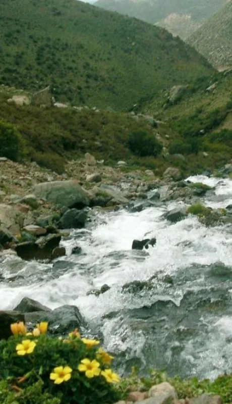 3ae27fa9cec01a9f7faacb5c033cc081-jpg.