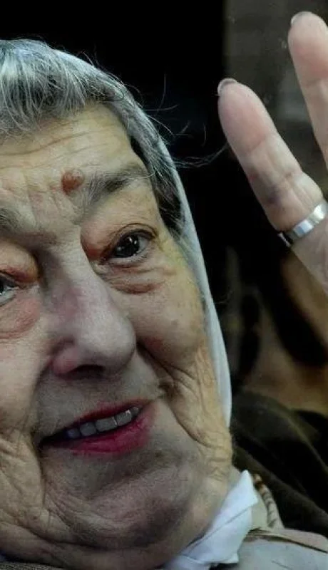 internaron-a-hebe-de-bonafini-jpg.