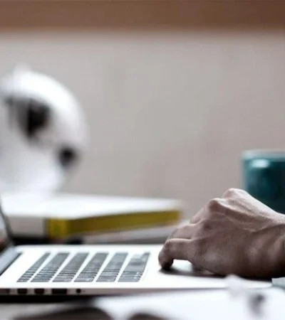 trafico-en-internet-jpg.