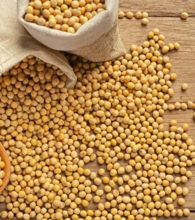 argentina-espera-records-en-exportaciones-para-el-2022-jpg.