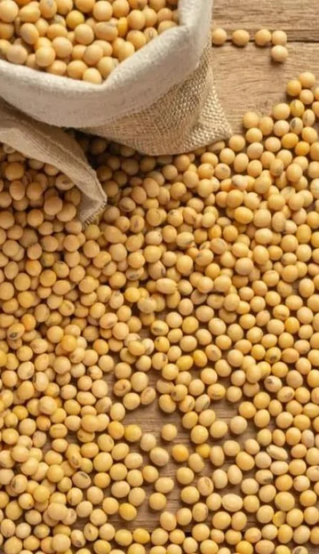 argentina-espera-records-en-exportaciones-para-el-2022-jpg.