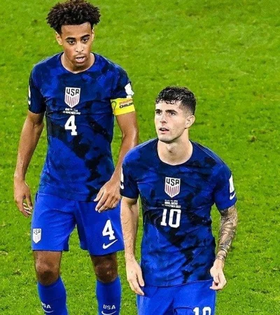 whatsapp-image-2022-11-29-at-17-08-25-jpeg.