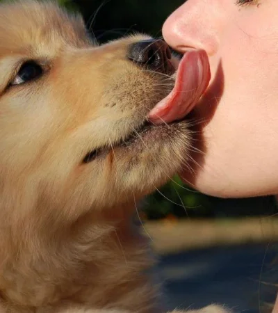 f-elconfidencial-comoriginal4778-jpg.