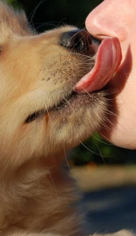 f-elconfidencial-comoriginal4778-jpg.