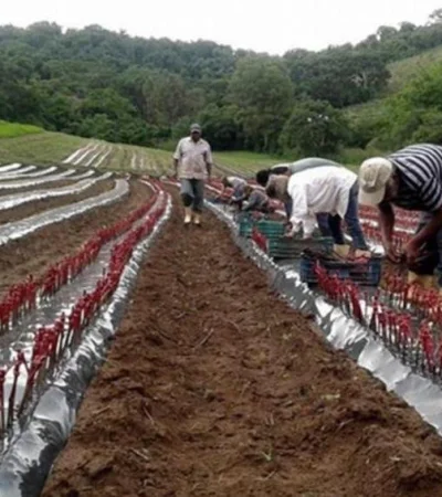 1d703f2d-761c-4117-b0cb-542a3b4aa827-png.