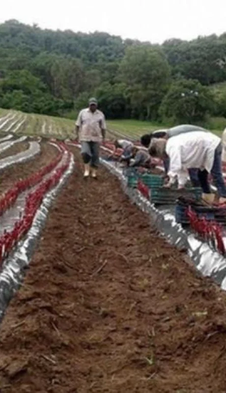 1d703f2d-761c-4117-b0cb-542a3b4aa827-png.