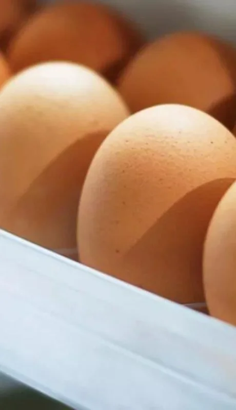 Tips claves para saber dónde guardar los huevos en la heladera