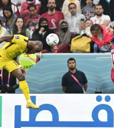 6d1def66-9e66-4891-9a14-54ec8c5f519b-jpeg.