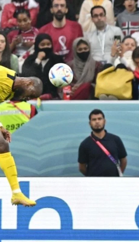 6d1def66-9e66-4891-9a14-54ec8c5f519b-jpeg.