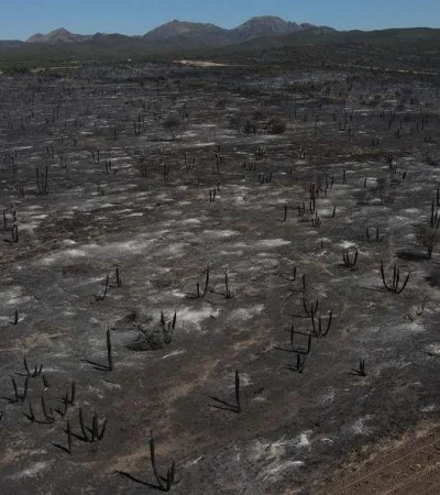 incendios-cordoba-01-jpeg.