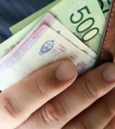 terminales-biometricas-anses