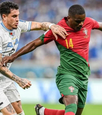 whatsapp-image-2022-11-28-at-17-02-47-jpeg.