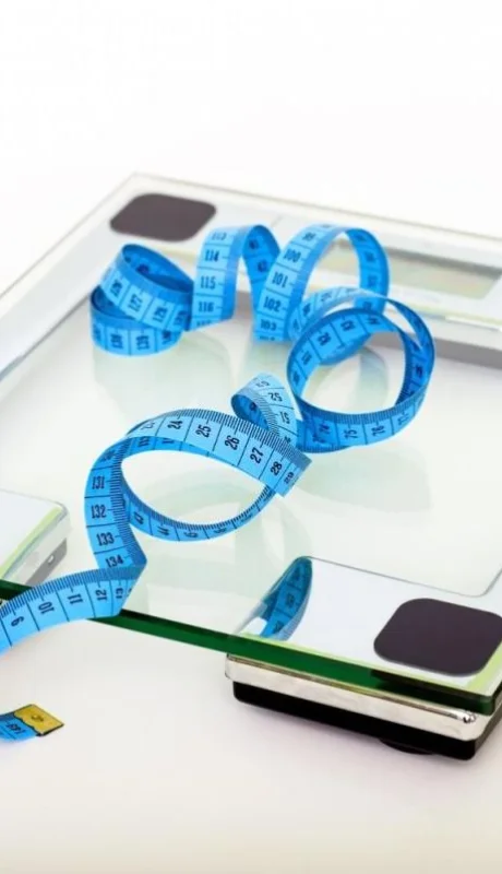 pexels-pixabay-53404-jpg.