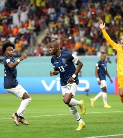 fiboze1x0aaarln-jpg.