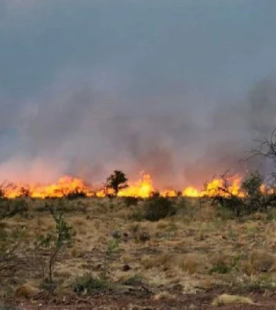 incendio-traslatierra-jpg.