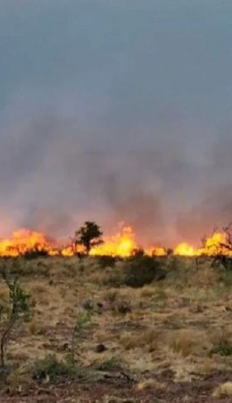 incendio-traslatierra-jpg.