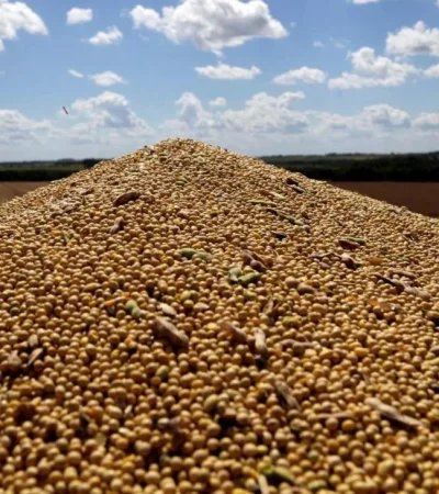 productores-sojeros-jpg.