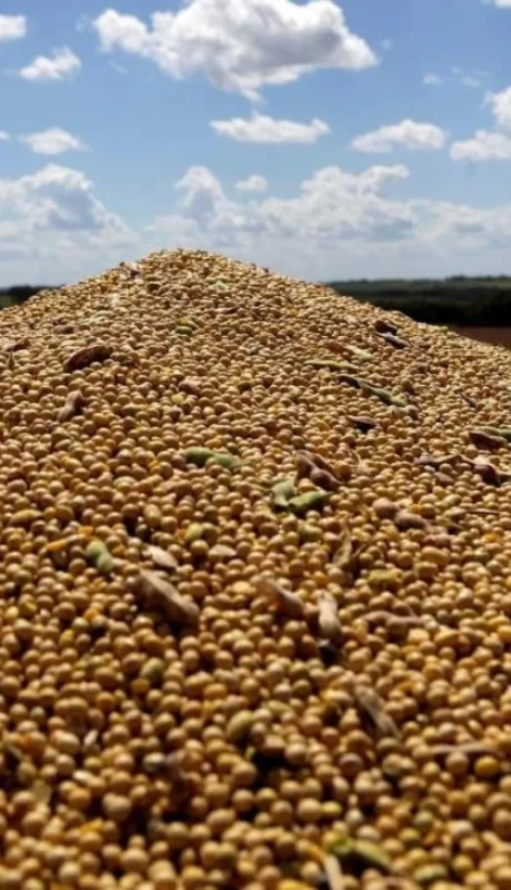 productores-sojeros-jpg.