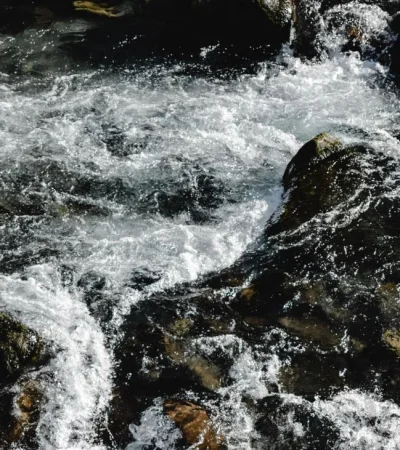 pexels-eva-bronzini-5768842-jpg.