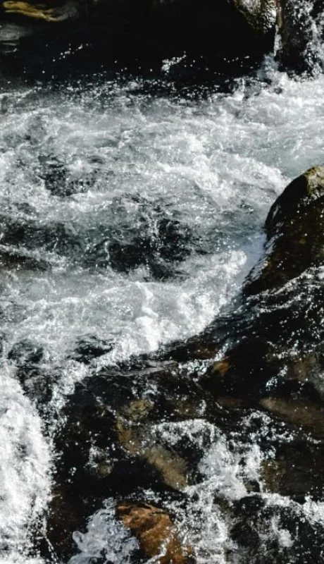 pexels-eva-bronzini-5768842-jpg.