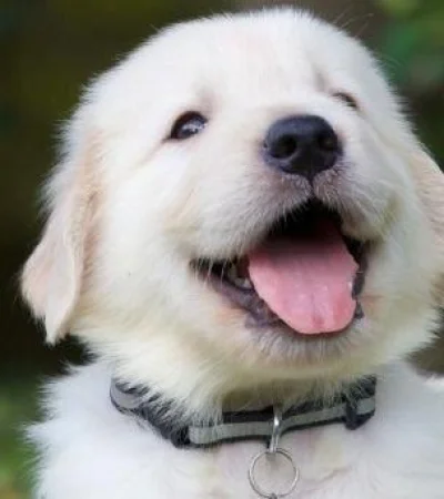 f608x342-38173-67896-15-jpg.