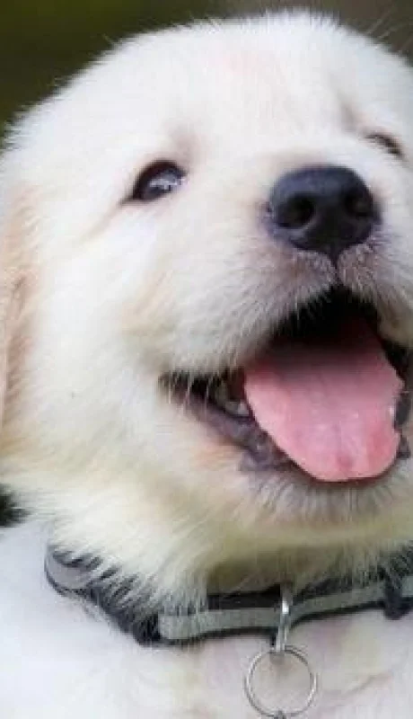 f608x342-38173-67896-15-jpg.